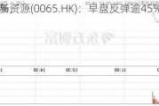 弘海高新资源(0065.HK)：早盘反弹逾45%，前一
暴跌81%，
未明原因